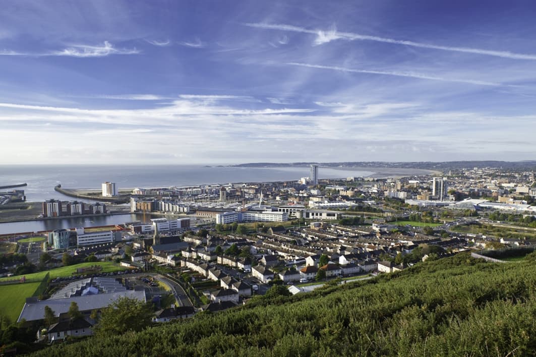 Dog-friendly Swansea