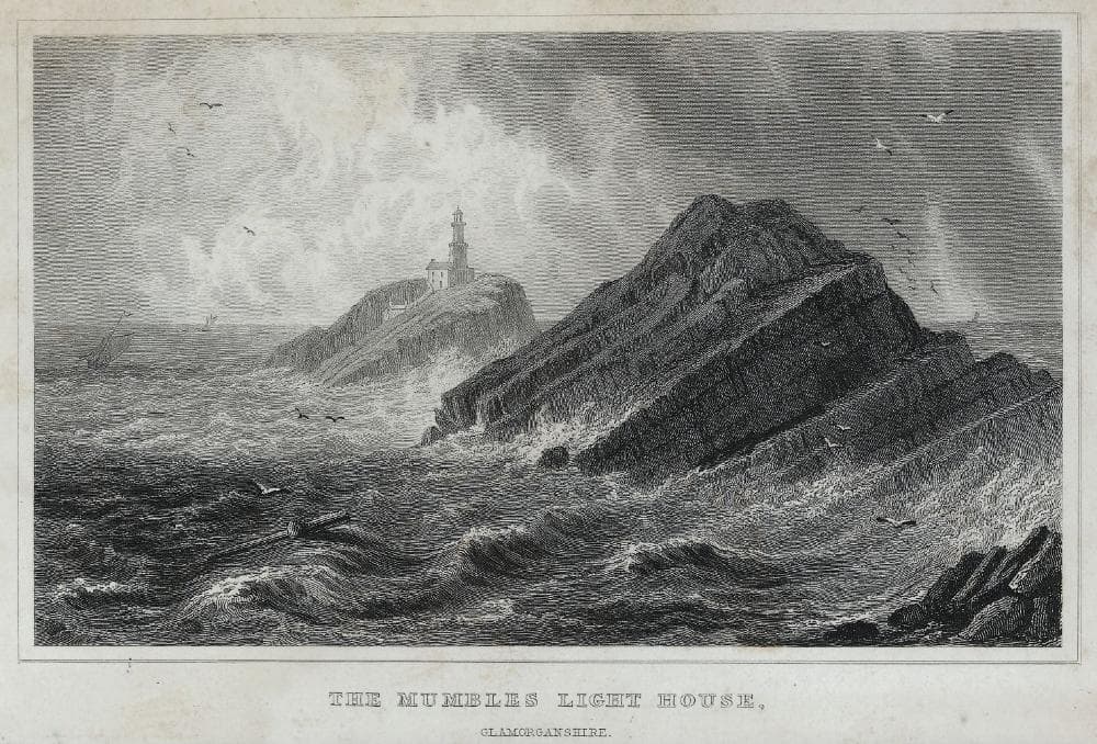 Dog-friendly Mumbles