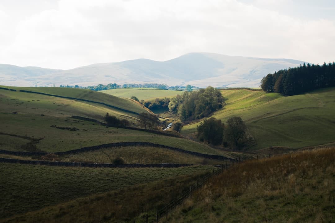 Dog-friendly Aviemore