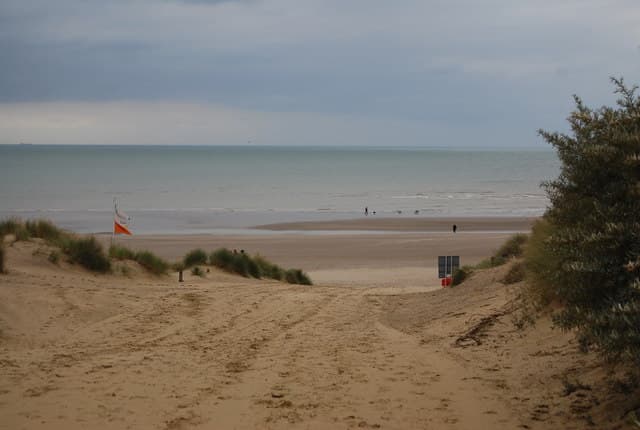 Dog-friendly Camber Sands