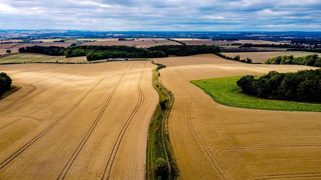 Dog-friendly Chipping Norton
