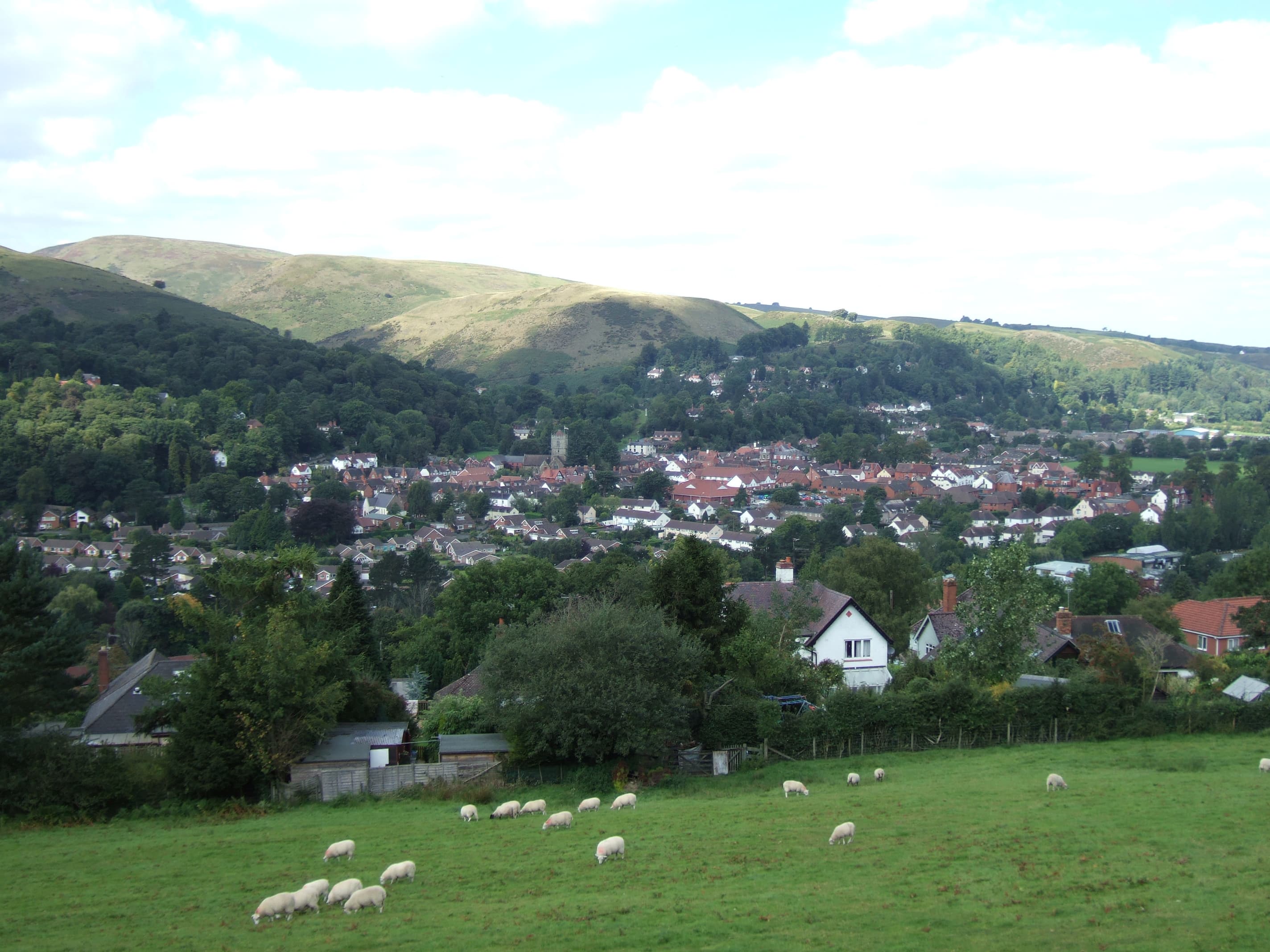 Dog-friendly Church Stretton