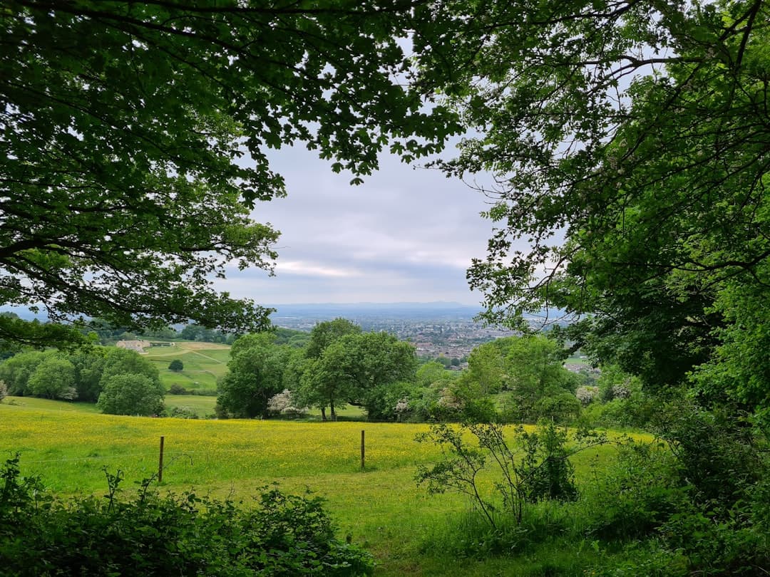 Dog-friendly Cirencester