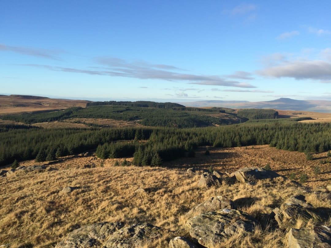 Dog-friendly Clitheroe