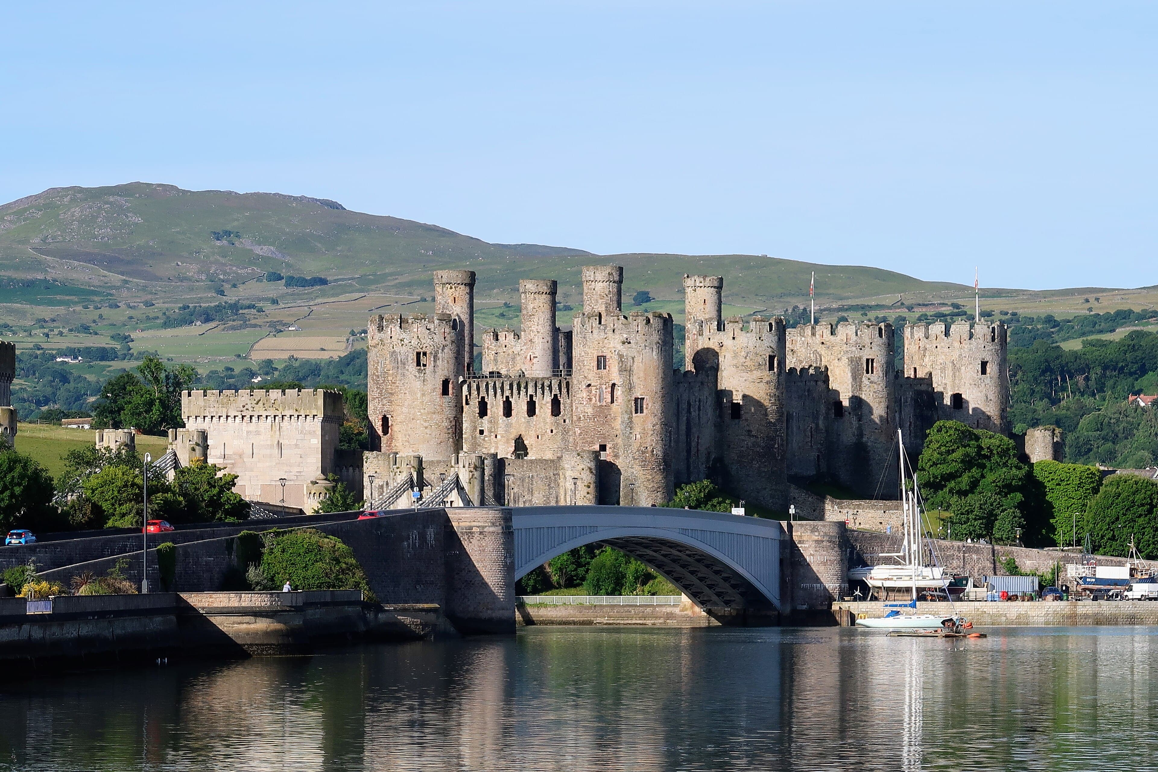Dog-friendly Conwy