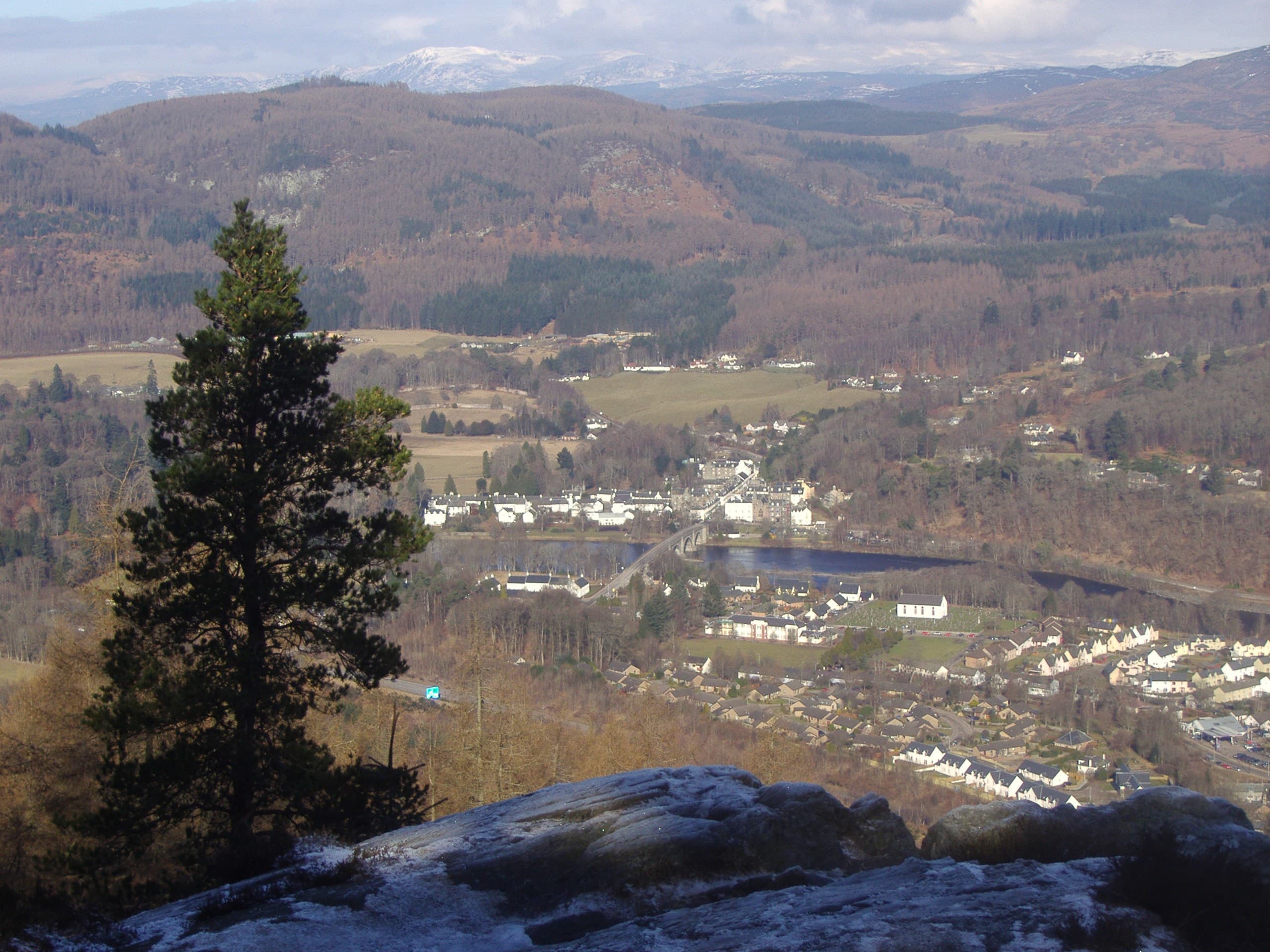 Dog-friendly Dunkeld