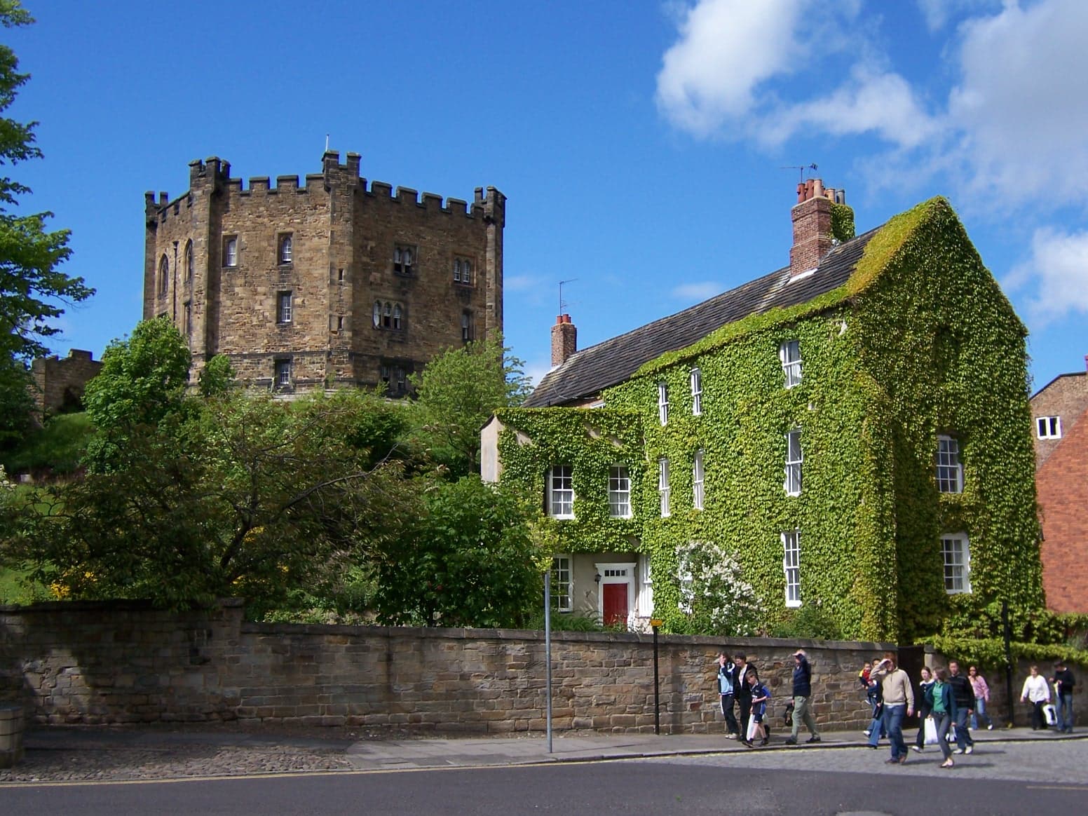 Dog-friendly Durham