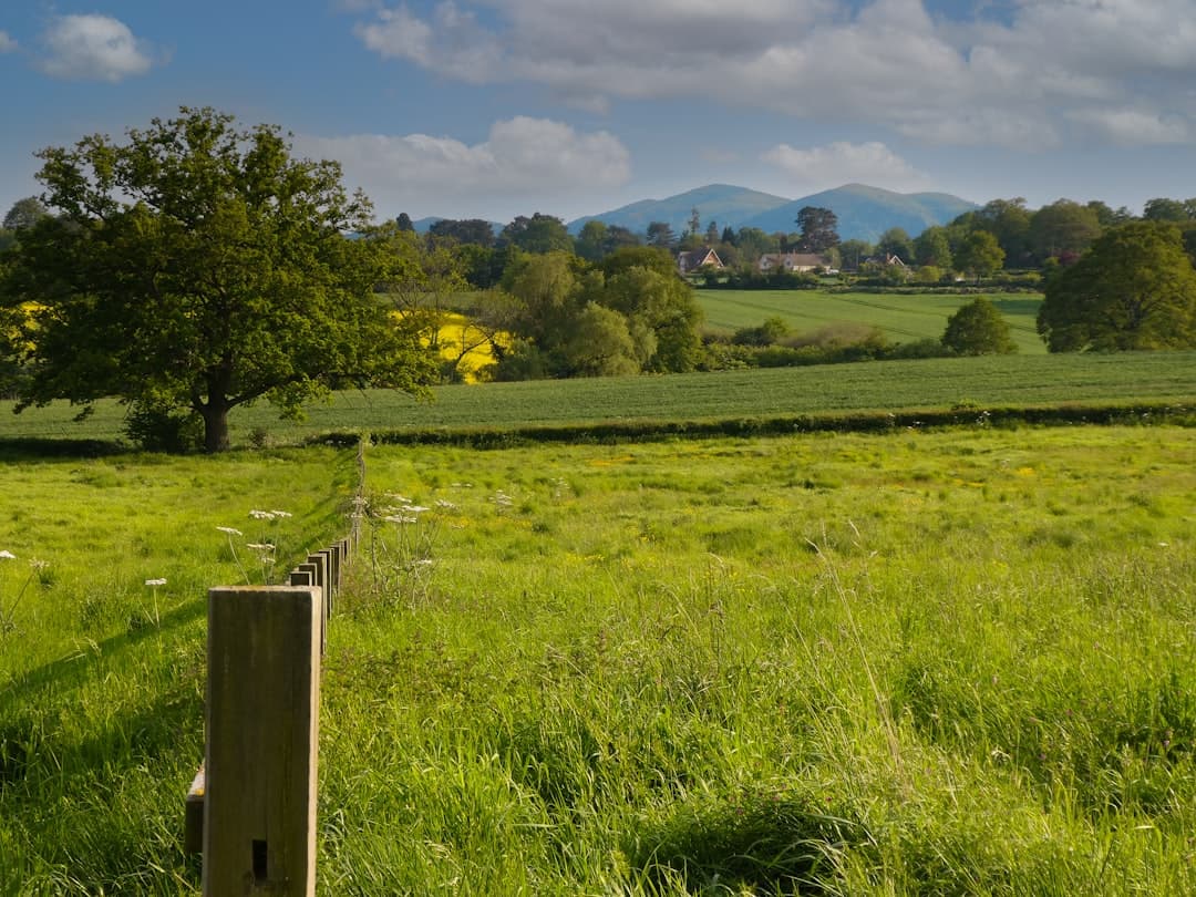 Dog-friendly Great Malvern