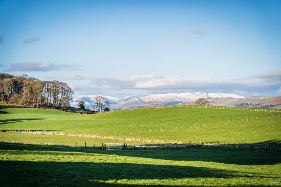 Dog-friendly Kirkby Lonsdale