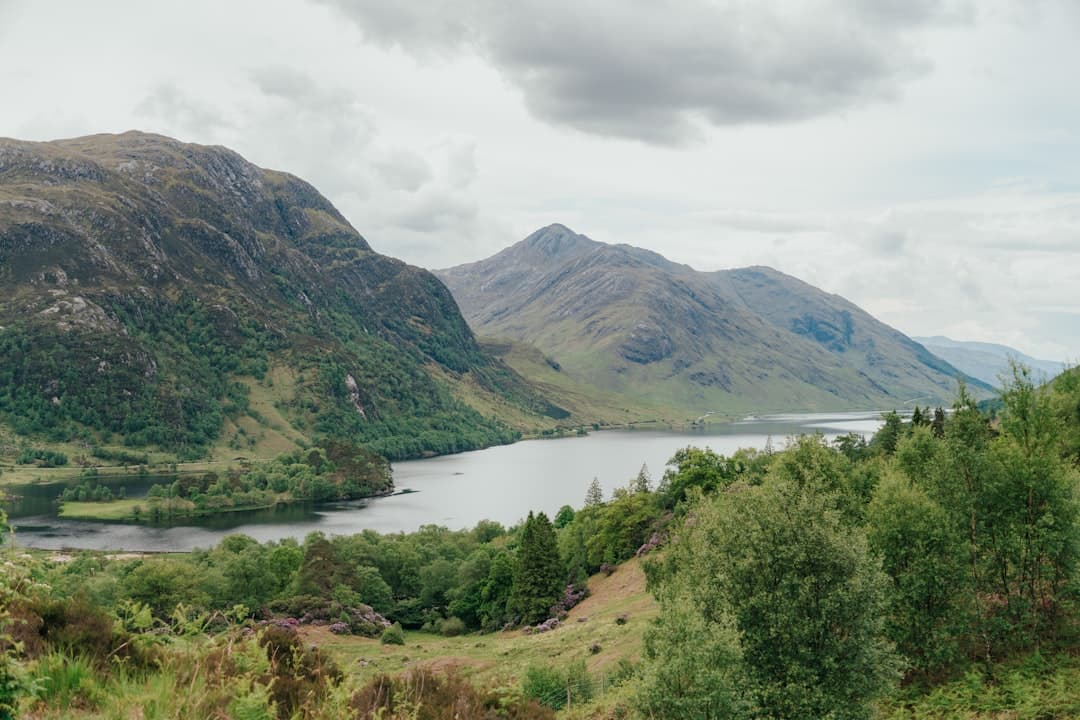 Dog-friendly Loch Lomond (Luss)