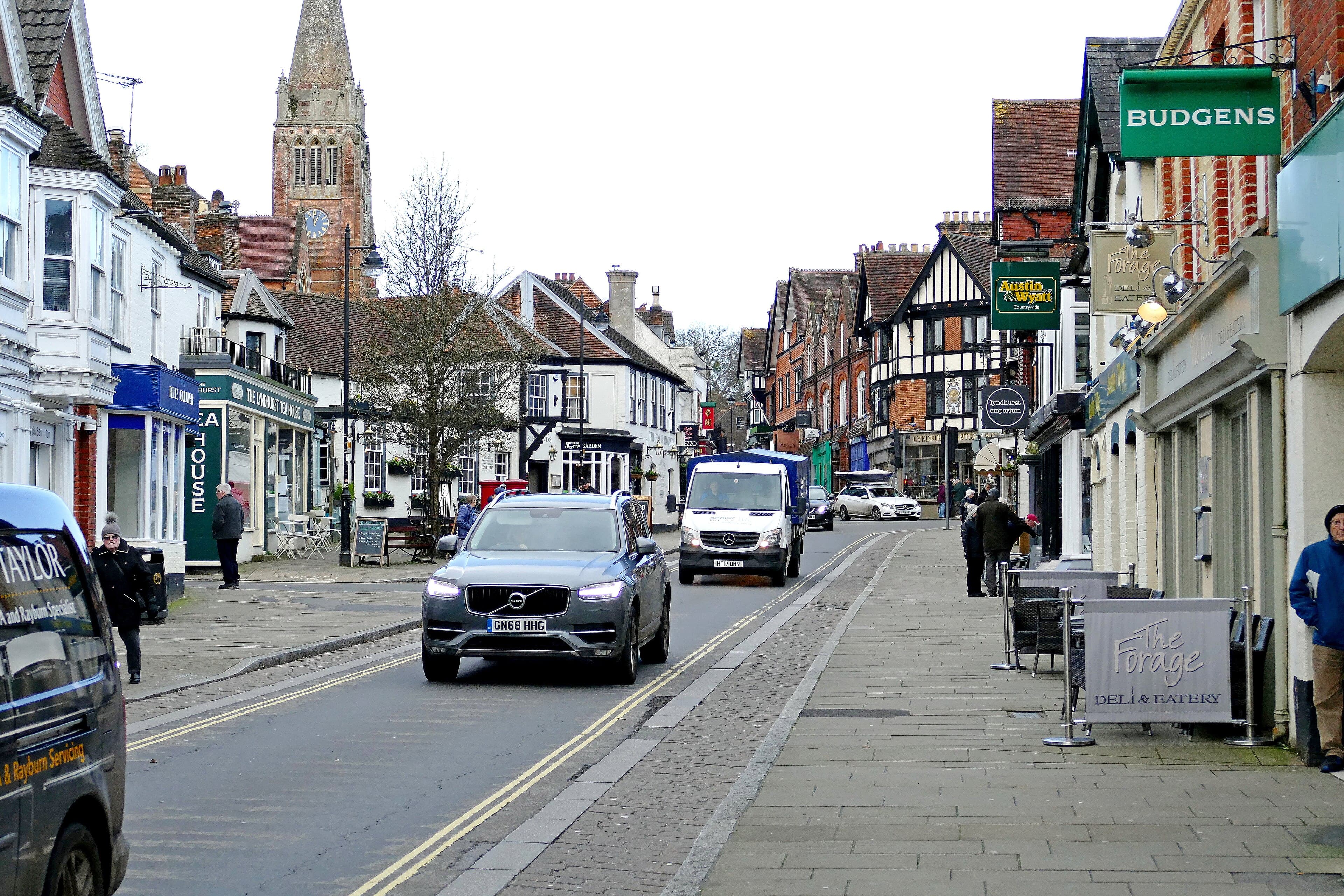 Dog-friendly Lyndhurst