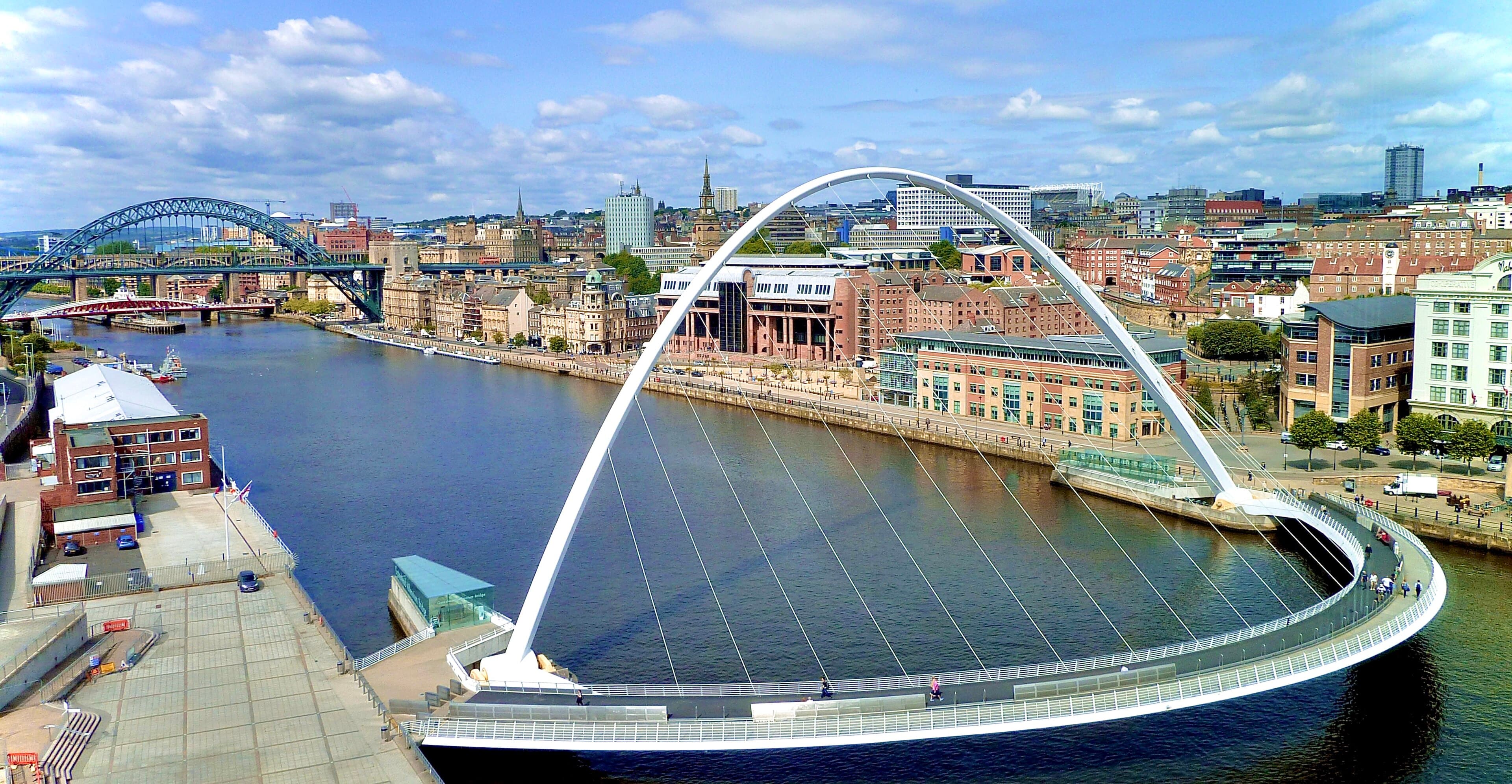 Dog-friendly Newcastle