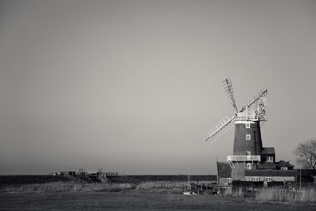 Dog-friendly Norfolk Broads