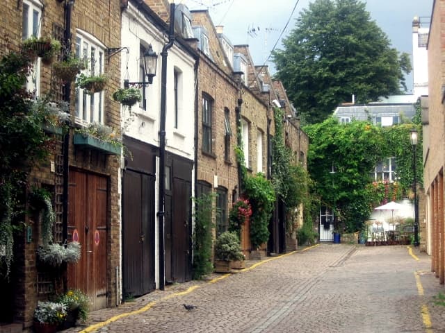 Dog-friendly Notting Hill
