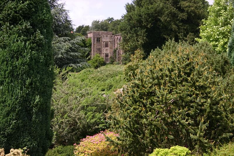 Dog-friendly Nymans