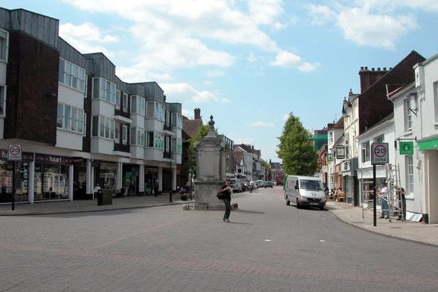 Dog-friendly Petersfield