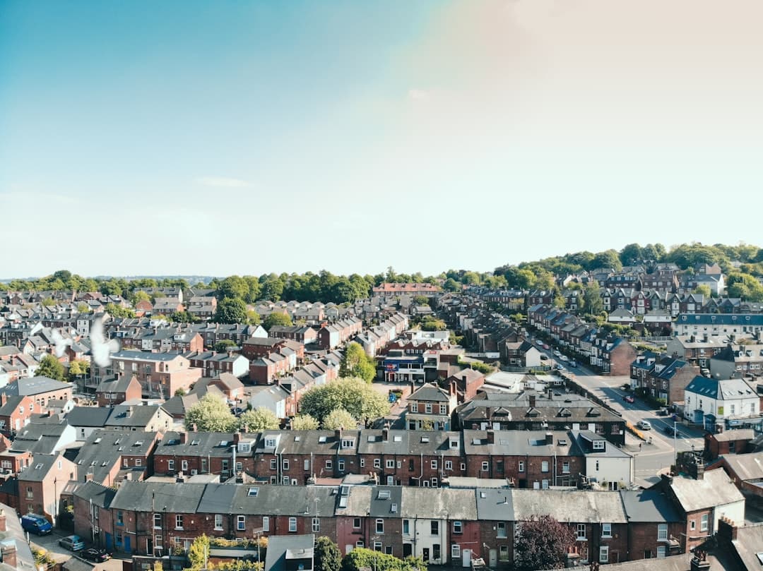 Dog-friendly Sheffield