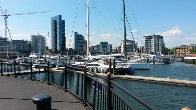 Dog-friendly Southampton