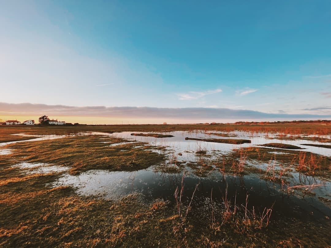 Dog-friendly Southwold