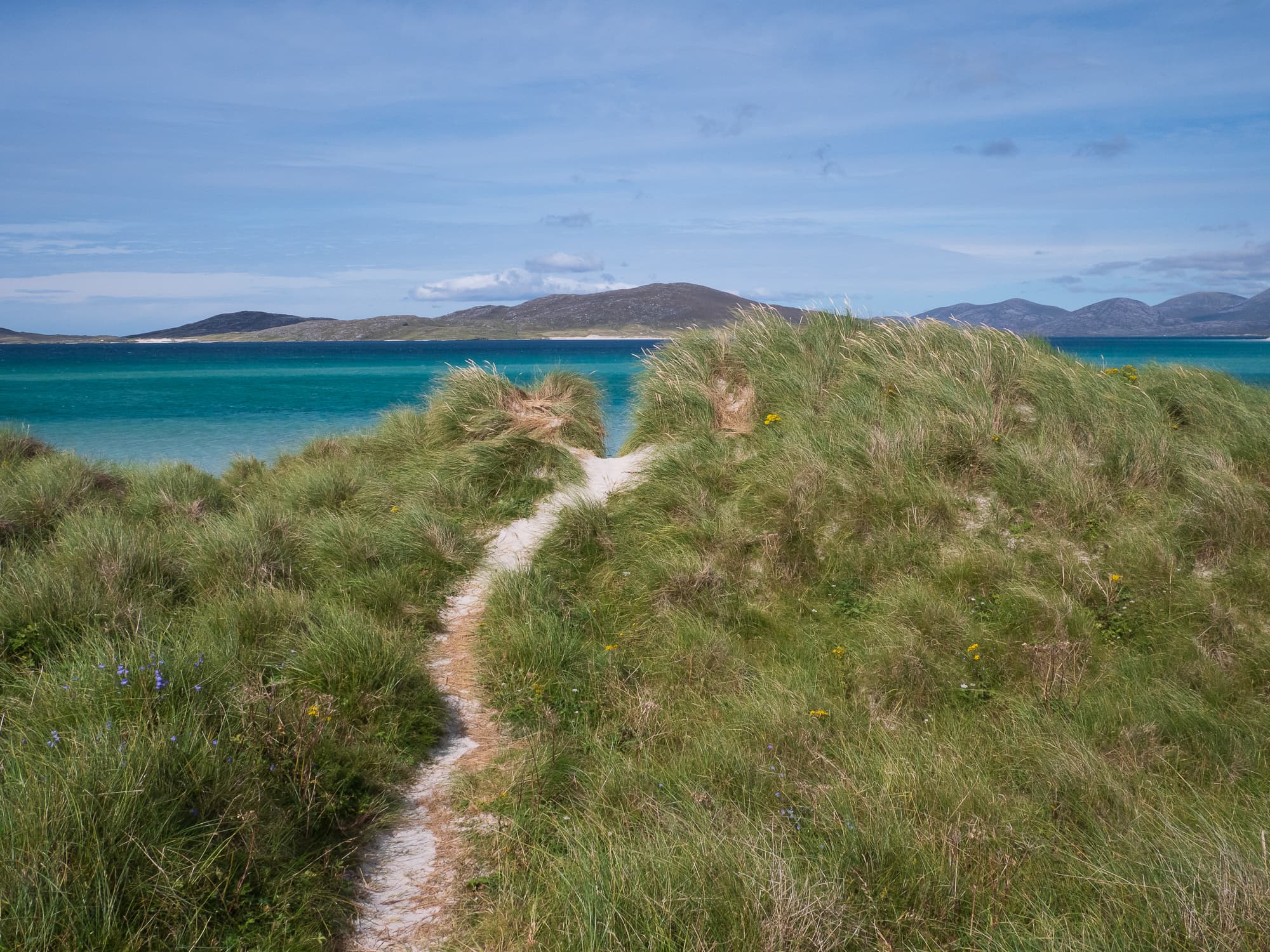 Dog-friendly Isle of Harris & Lewis