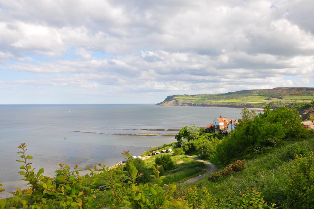 Dog-friendly Robin Hood's Bay