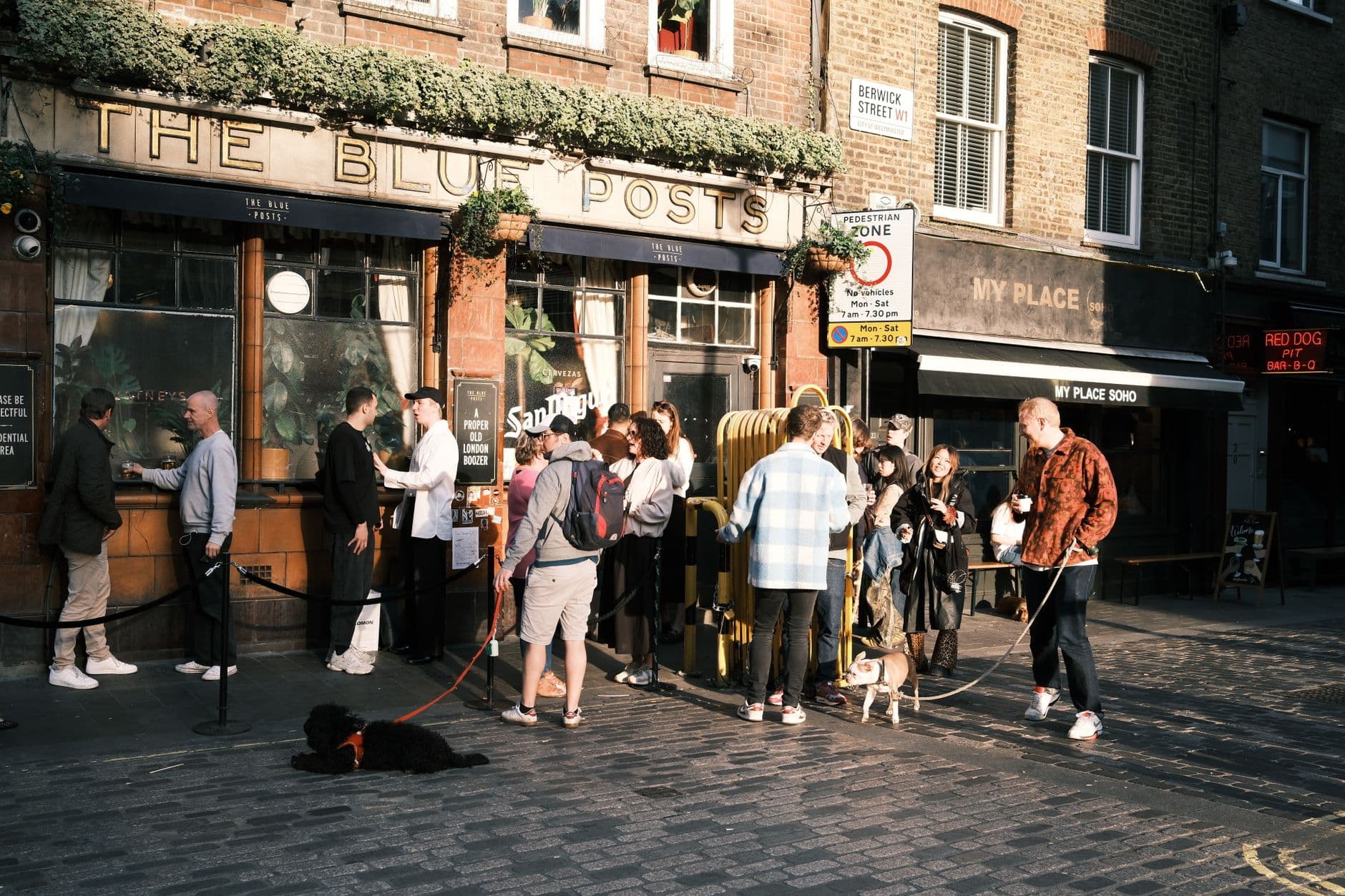 Drinkers and their dogs outside a London pub on a sunny afternoon