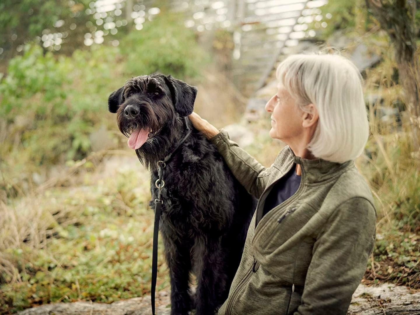 Agria Dog Insurance