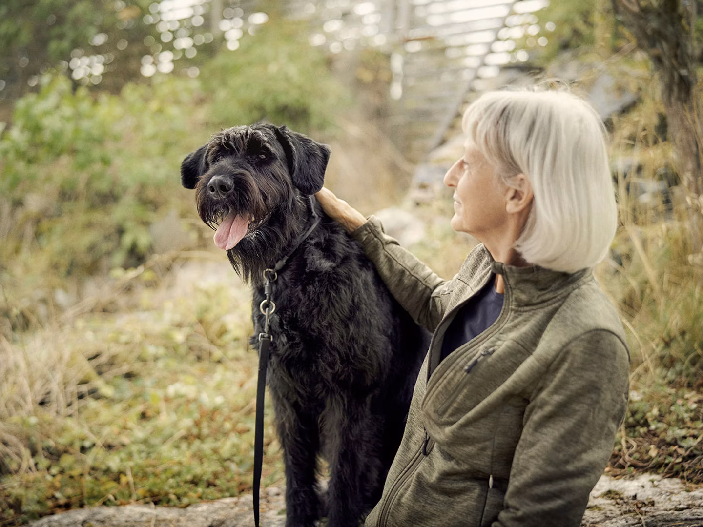 Agria Dog Insurance