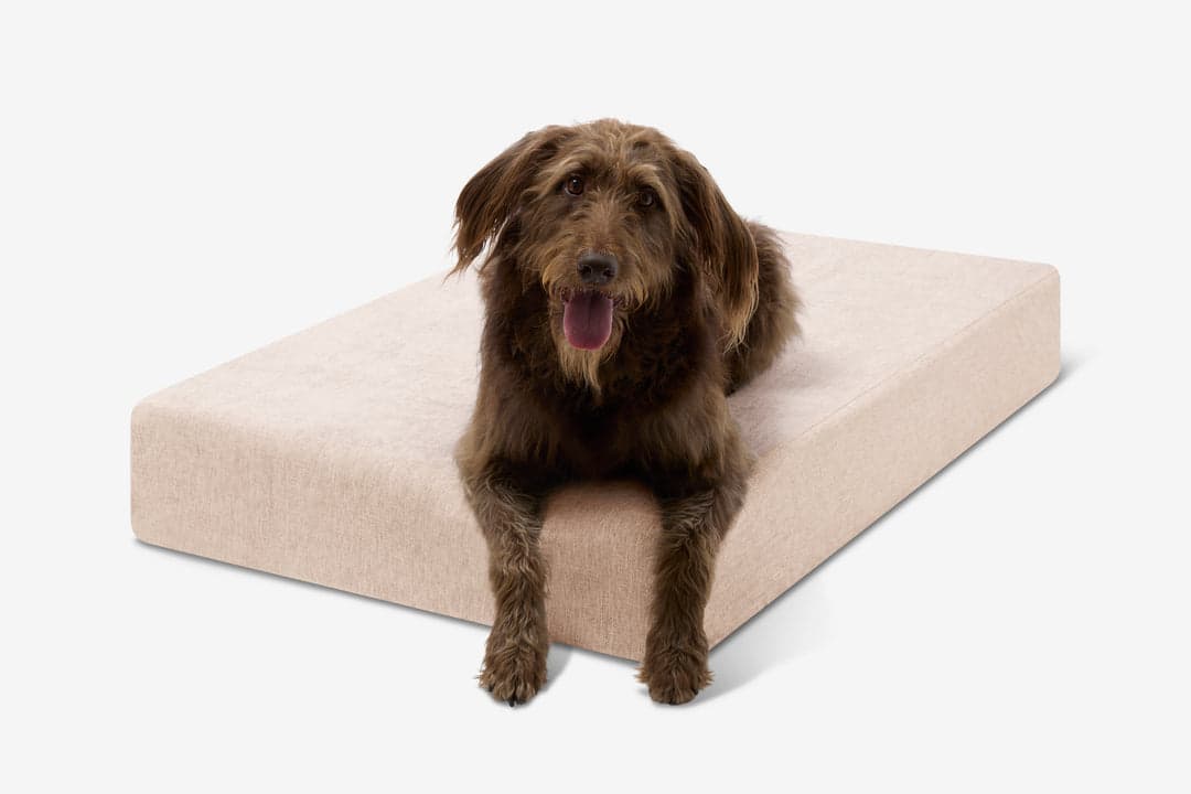 Big Barker Orthopaedic Bed Large