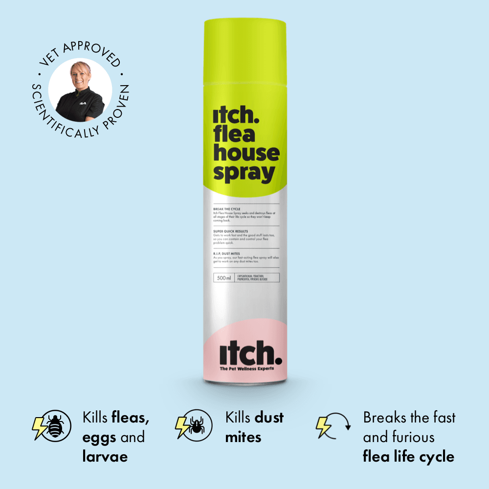 Itch Flea Home Flea Spray