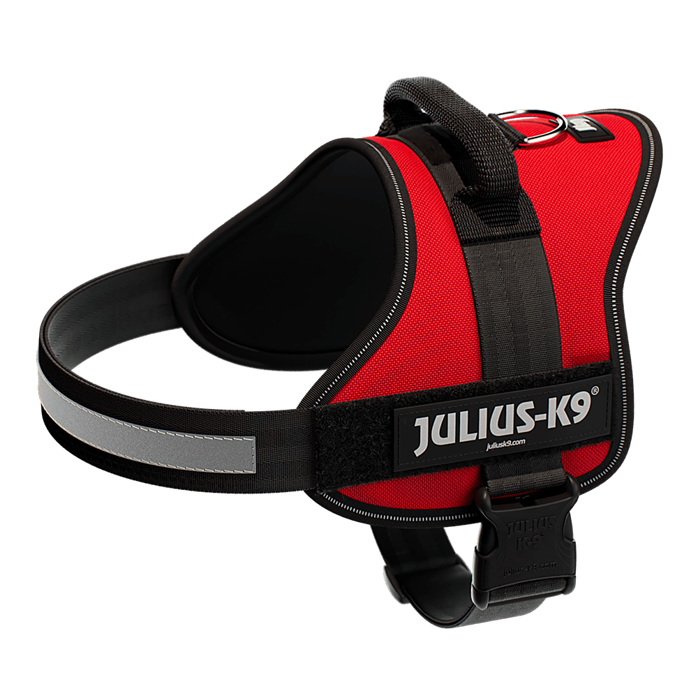Julius-K9 IDC Powerharness - Large