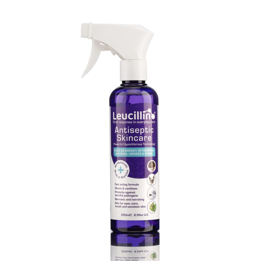 Leucillin Antiseptic Skin Care Spray