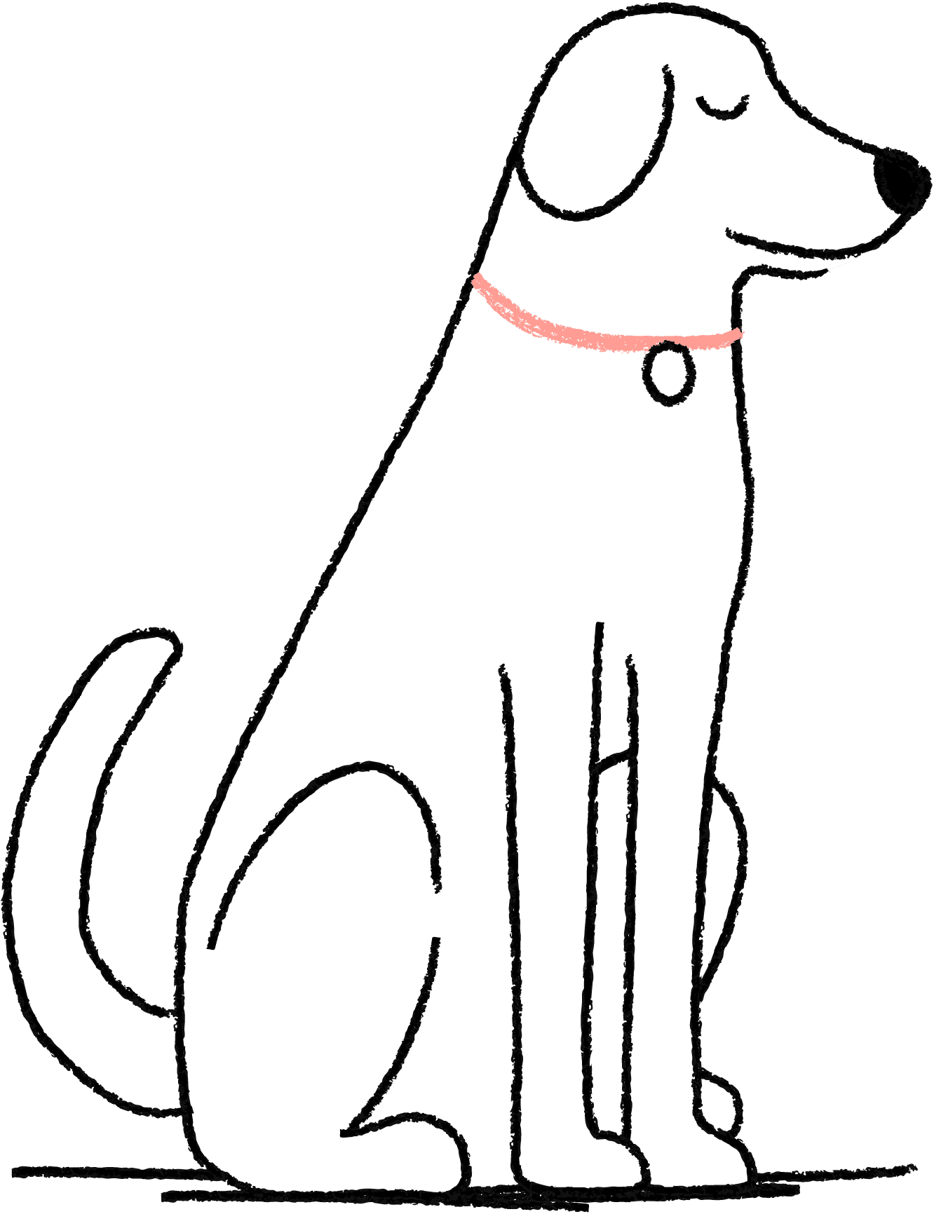 ManyPets Dog Insurance