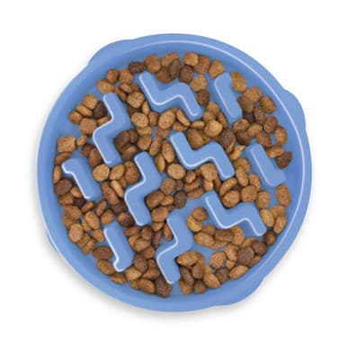 Outward Hound Fun Feeder Slow Bowl