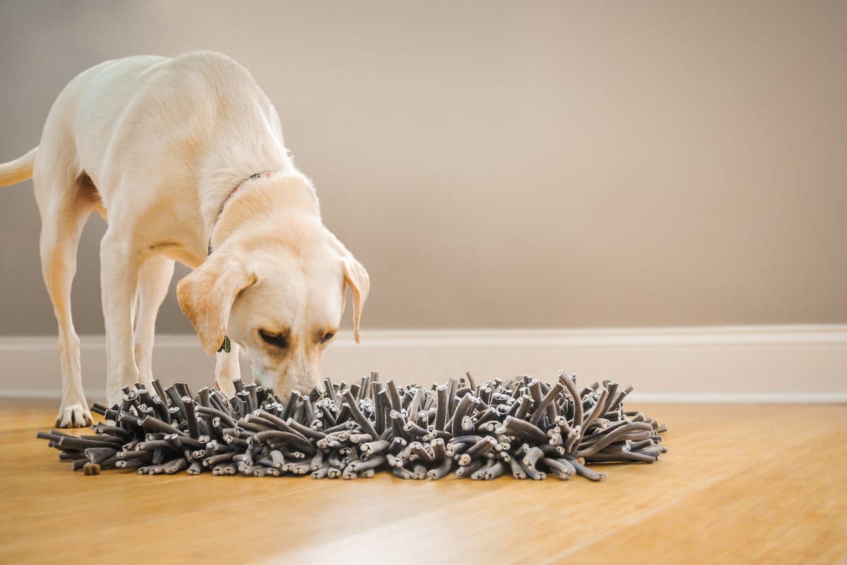 Paw5 Wooly Snuffle Mat