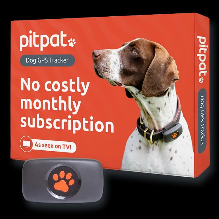 PitPat GPS Dog Tracker