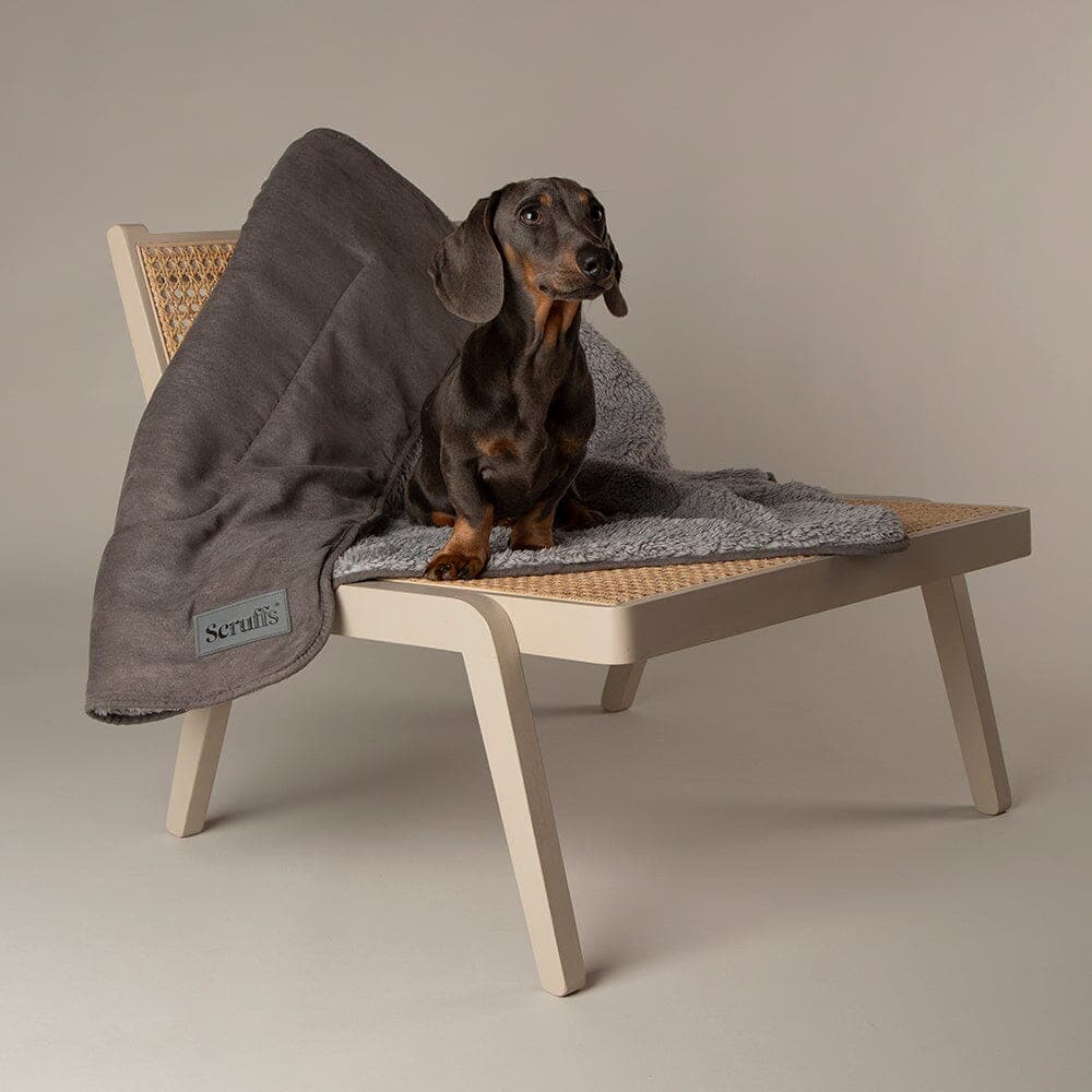 Scruffs Cosy Dog Blanket