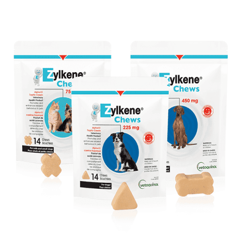 Zylkene Calming Supplement